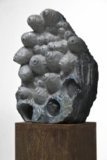 Bloesem van de steen 2007
Naamse steen-lak 35 x 2 0 x 52cm (particulier bezit)