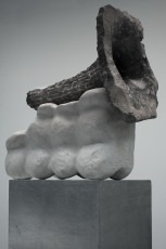 Bloesem van de steen 2007
Carrara marmer,petit graniet 47 x 25 x 49cm